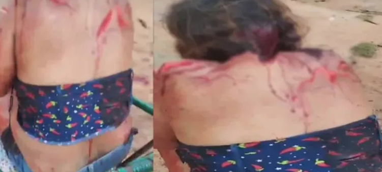 Muere hombre tras ser atacado por un tigre