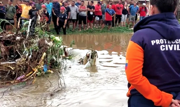 Joven perdió la vida al lanzarse de un puente