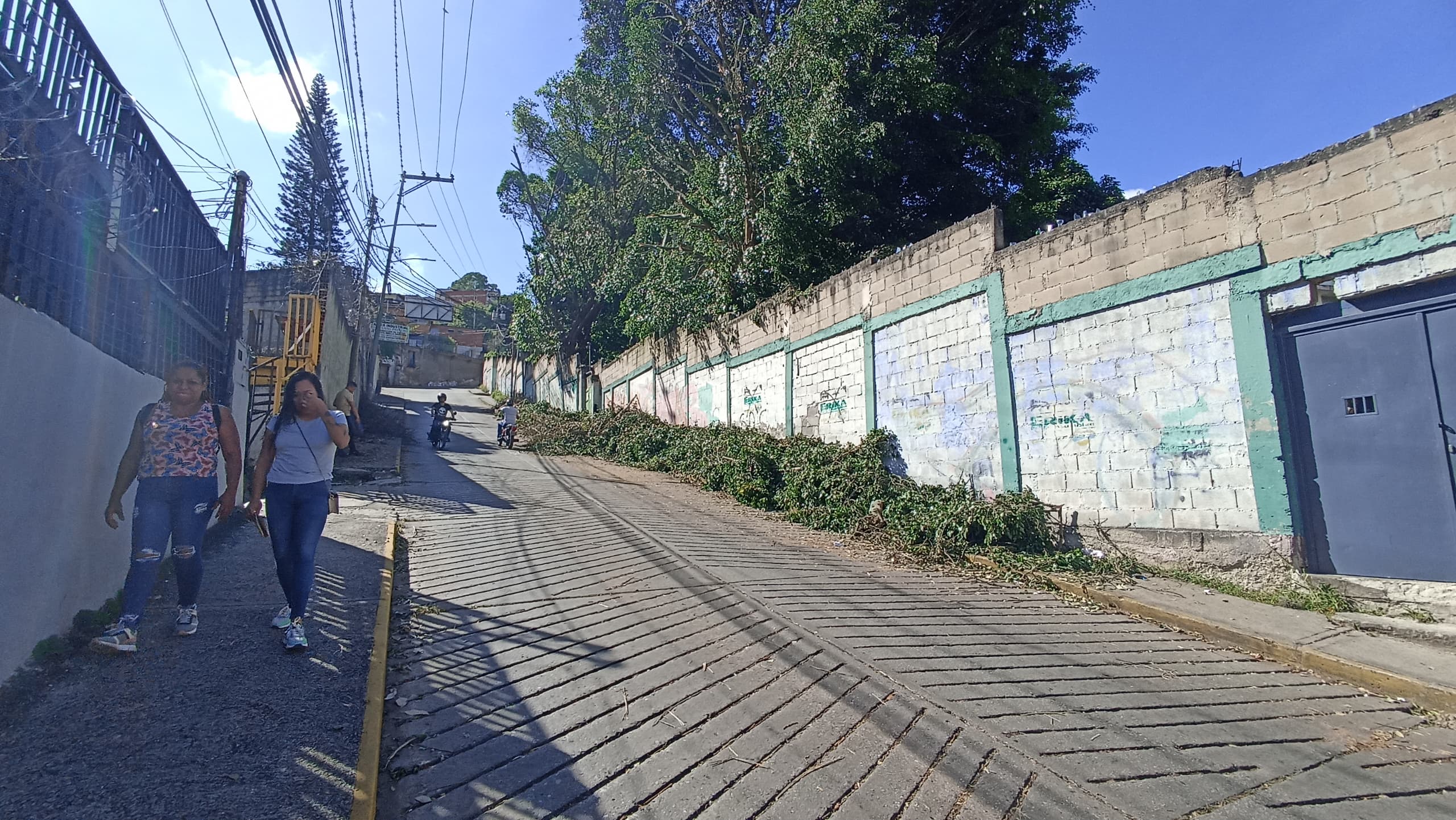 Piden recoger ramas acumuladas en entrada de la Escuela Taller