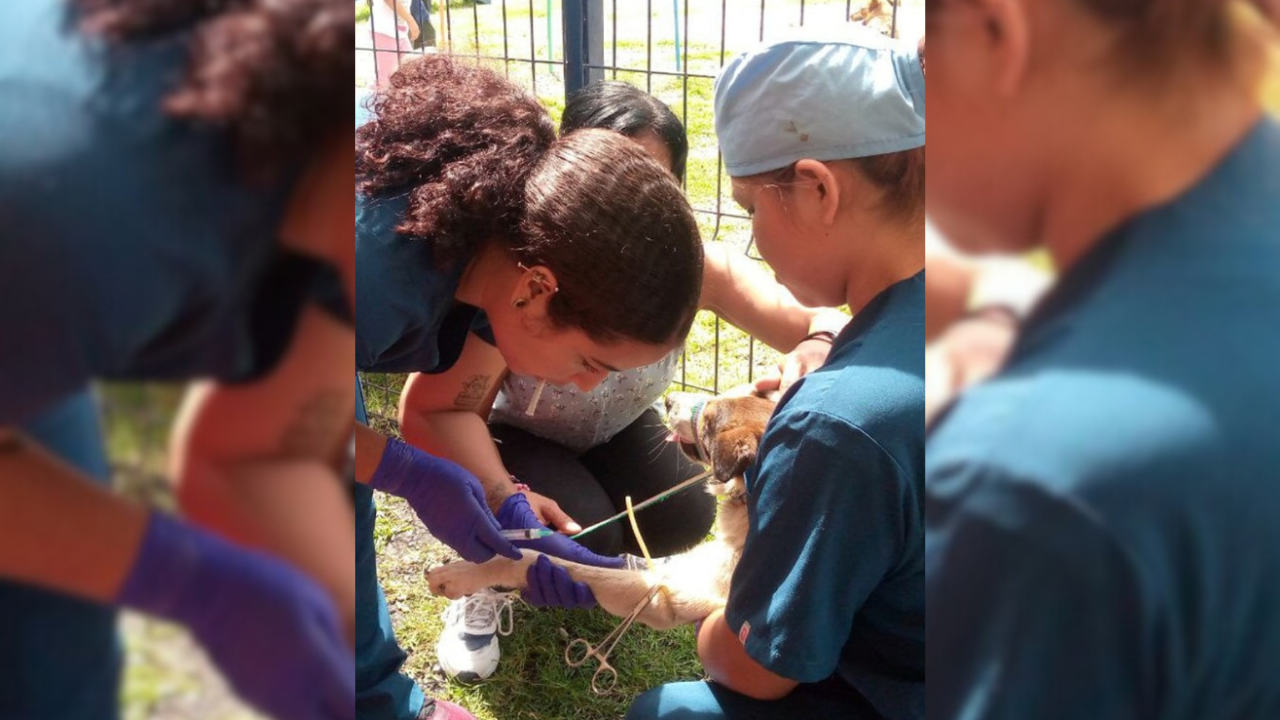 Clínica veterinaria abre sus puertas en el Conopoima