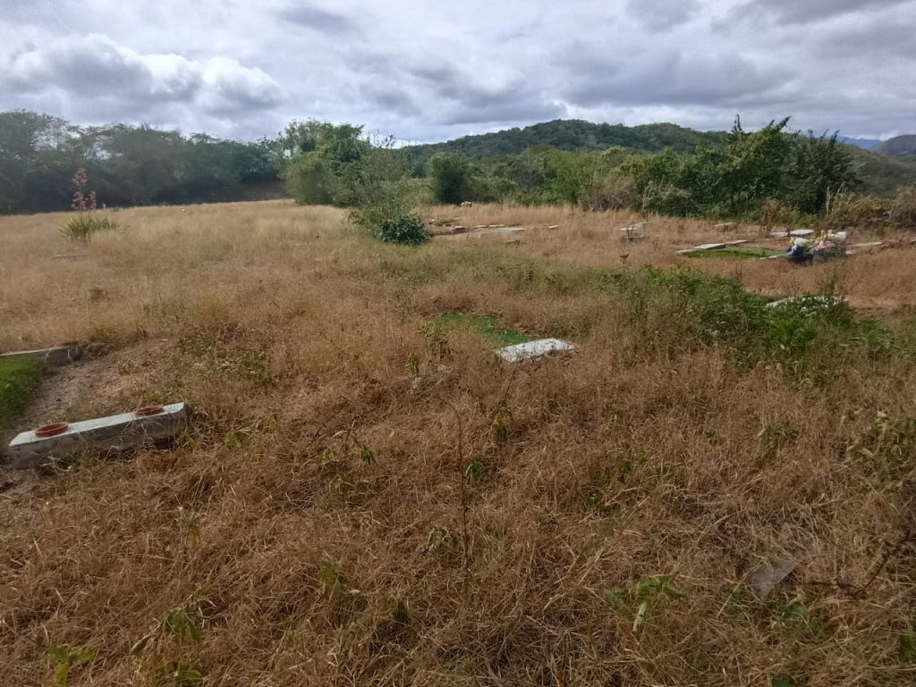 Exigen optimizar espacios del Cementerio Monumental