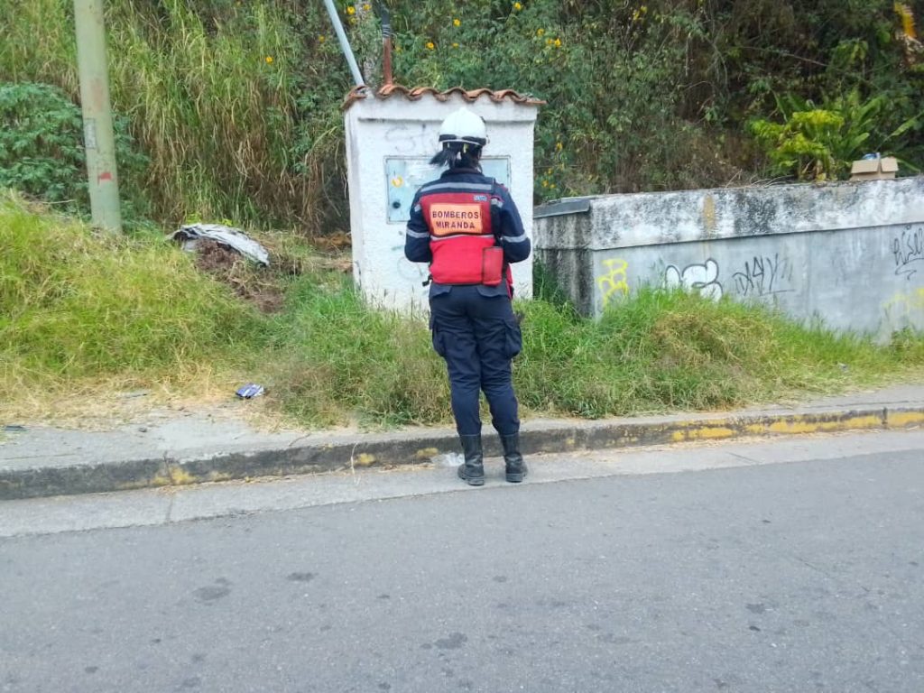 Bomberos atendieron llamado por enjambre en El Encanto