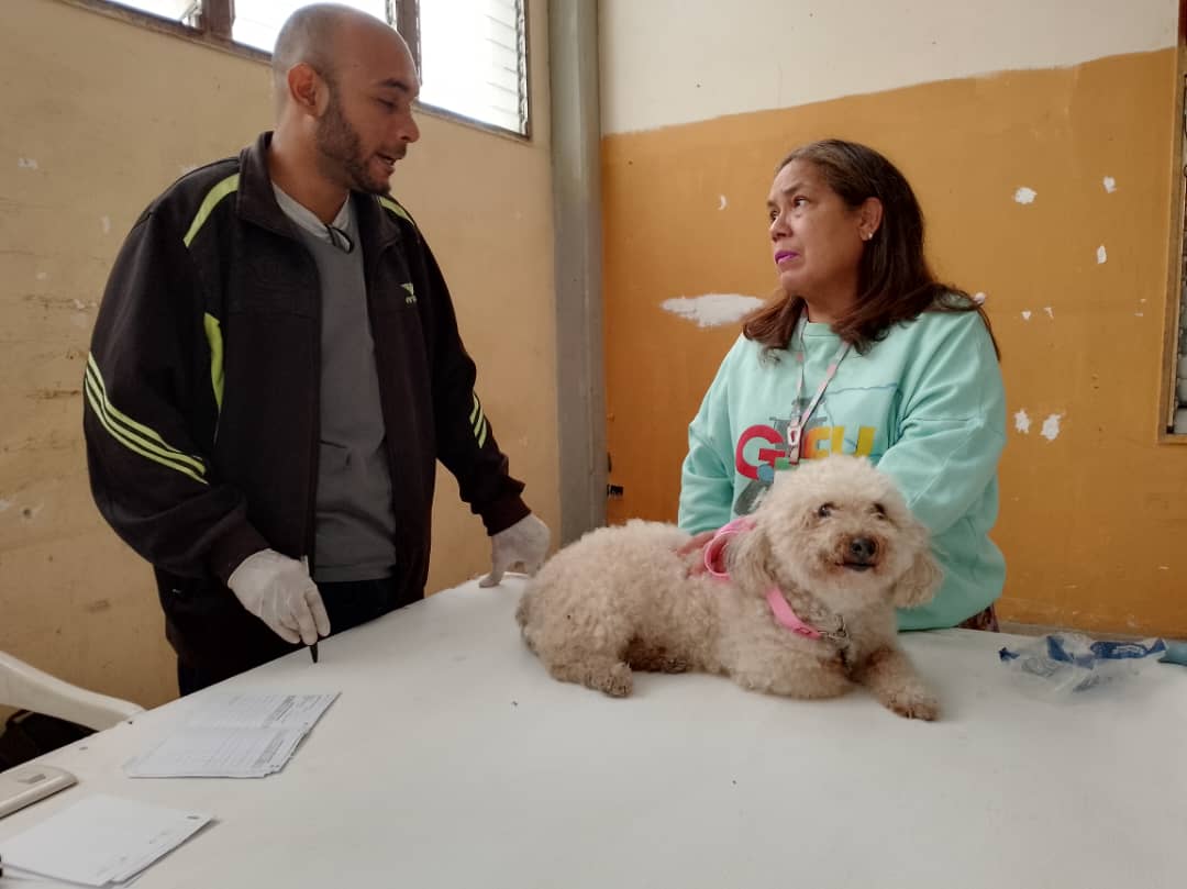 Una consulta veterinaria oscila entre 20 y 30 dólares