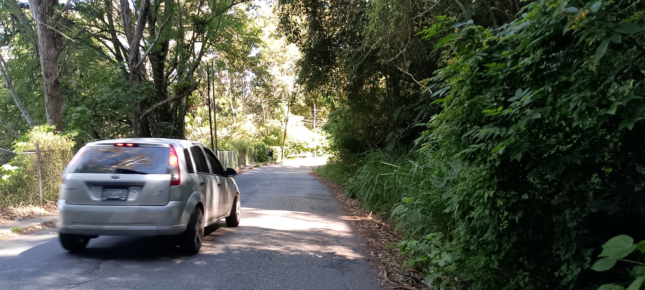 Maleza y oscurana dominan en la vía principal hacia El Limón