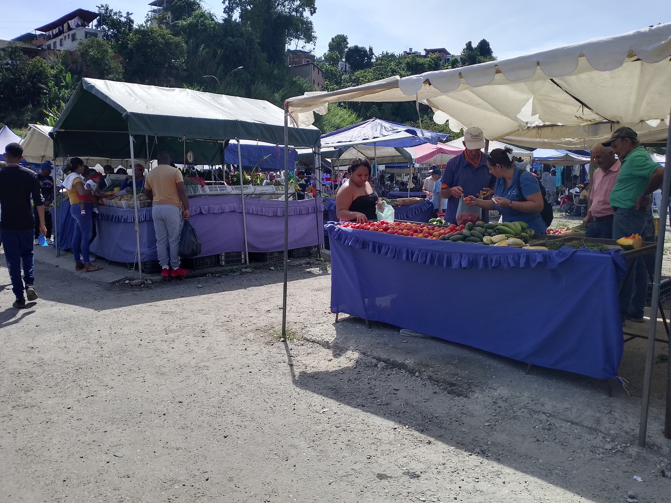 Mercado de la Miranda inicia actividades este domingo