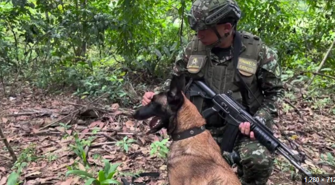 Petro designará comandante militar para enfrentar crisis en Catatumbo