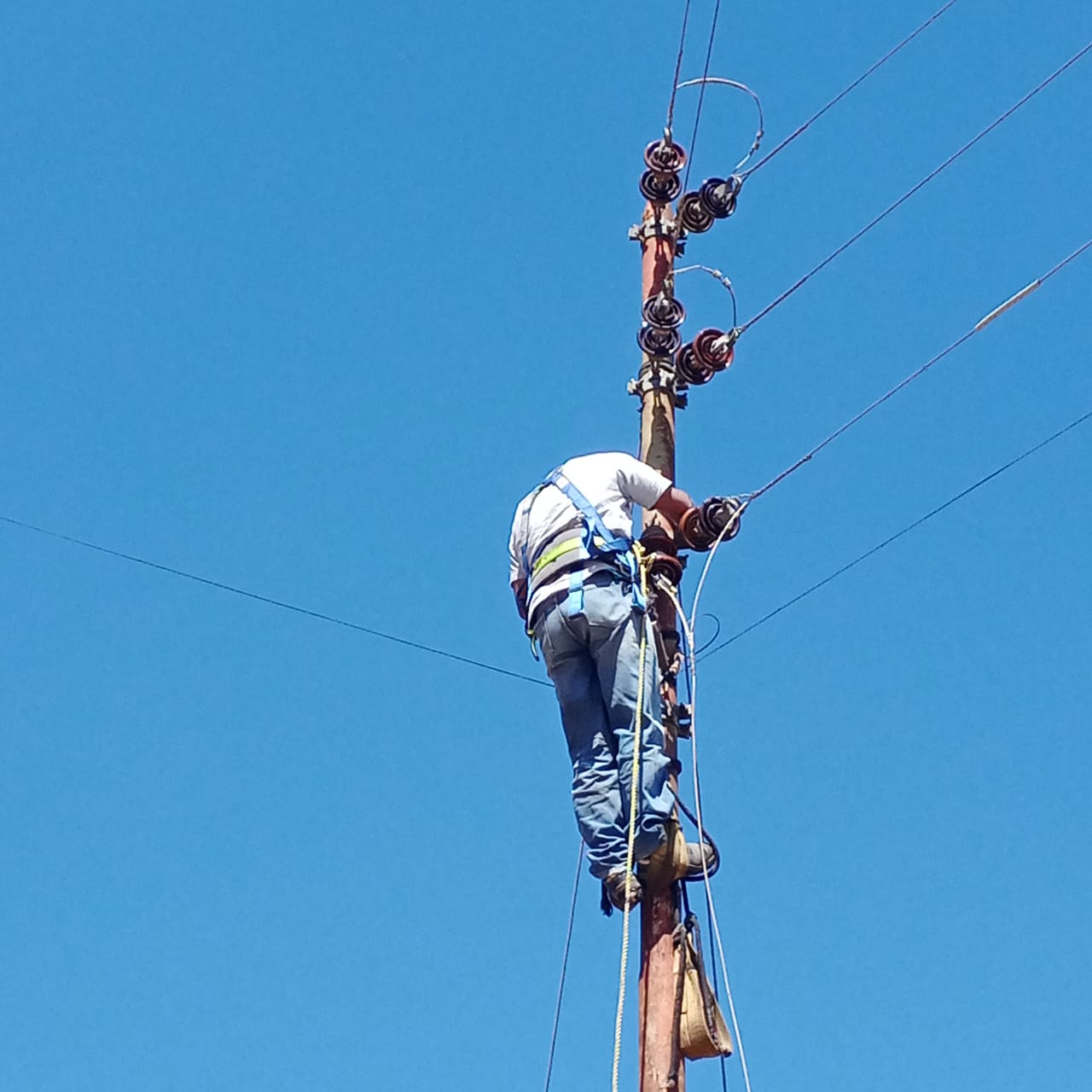 Corpoelec atendió caída de línea en Pozo de Rosas
