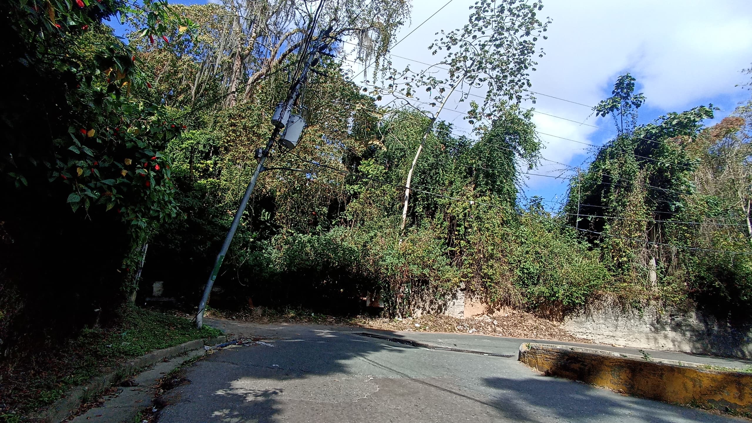 Temen caída de poste en La Matica