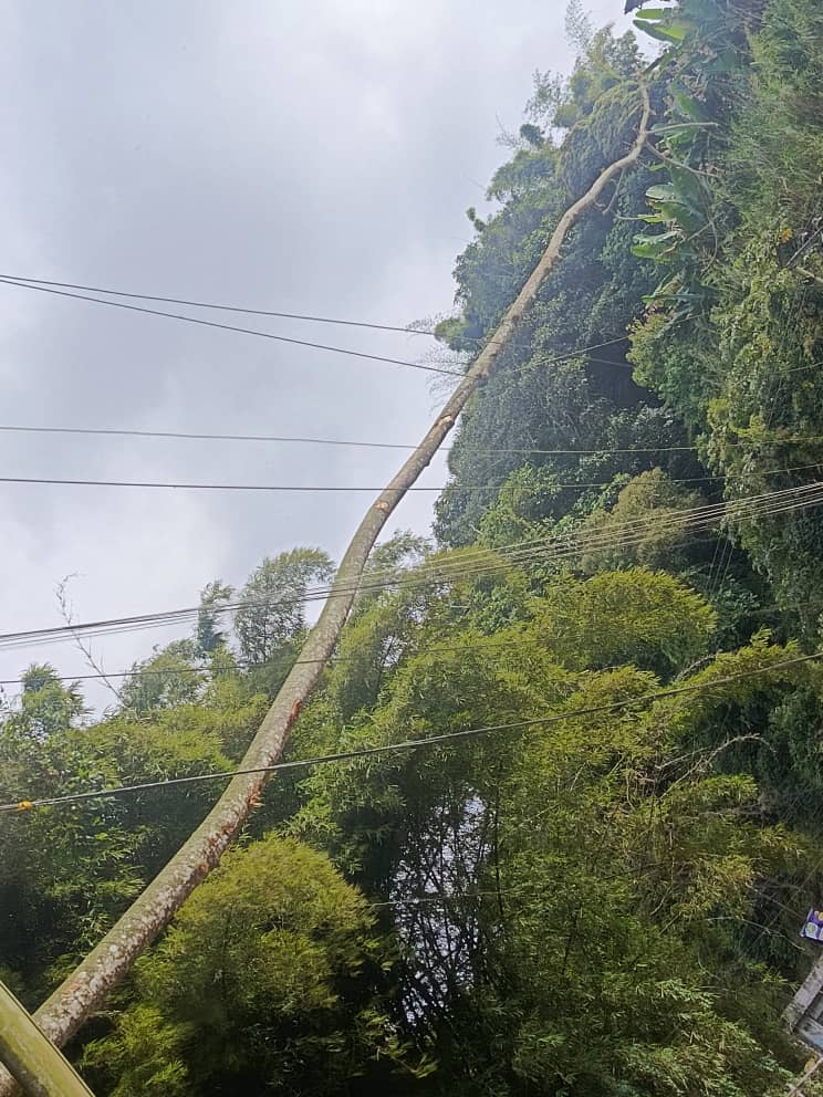 Realizarán inspección en tres comunidades de Carrizal este lunes 10-F