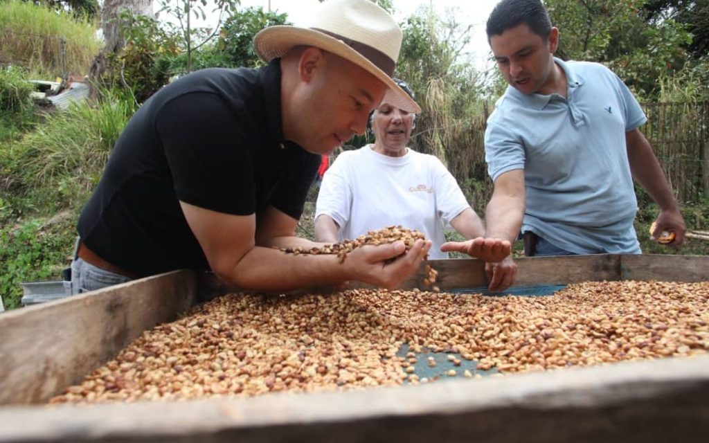 Miranda impulsa producción de café de alta calidad