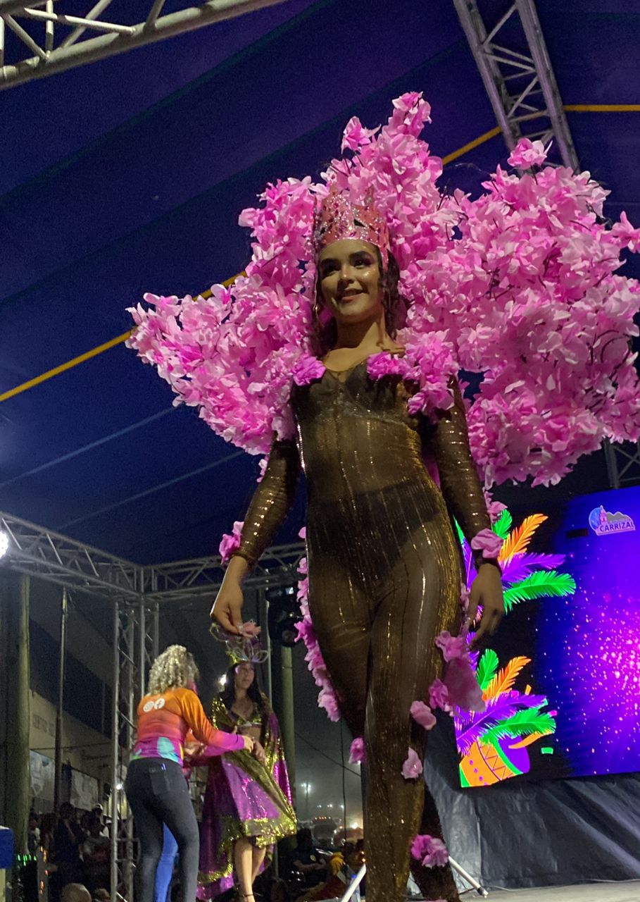 Carrizal se prepara para los Carnavales 2025
