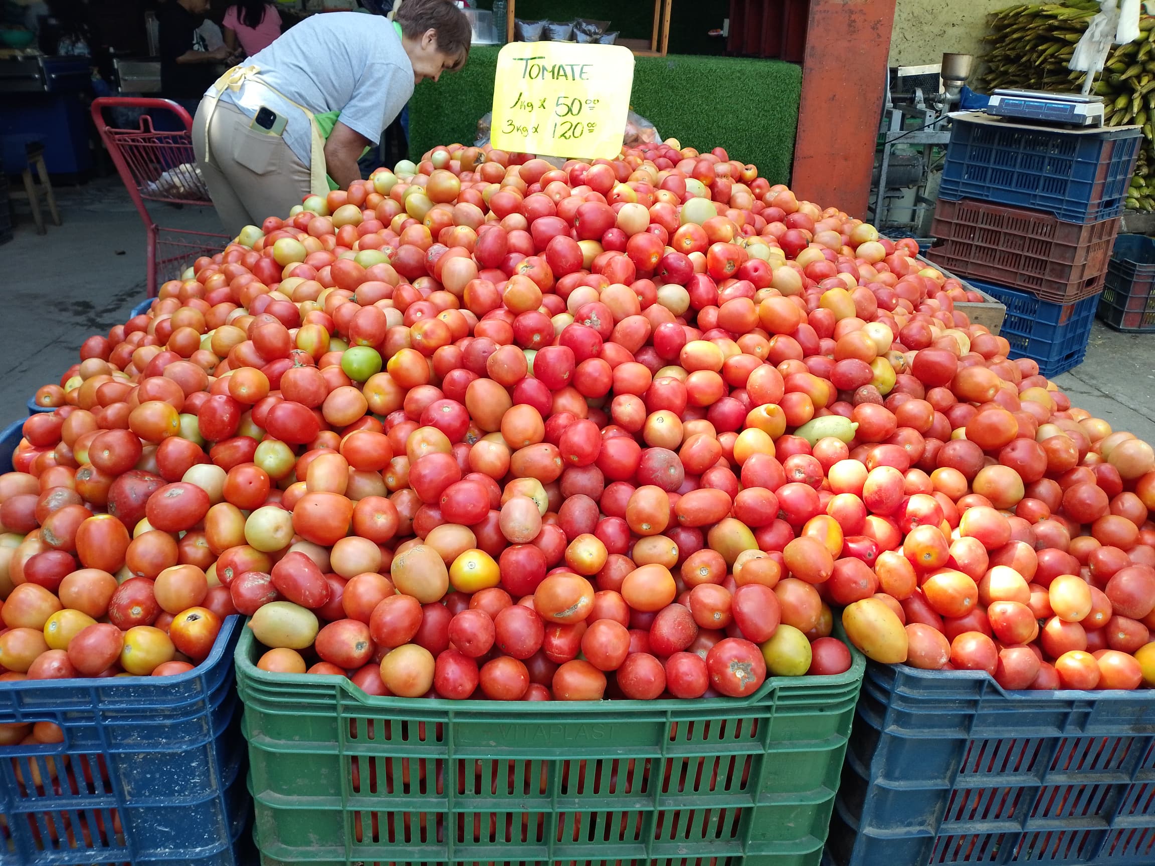 La cesta de tomate pasó de 60 a $ 18