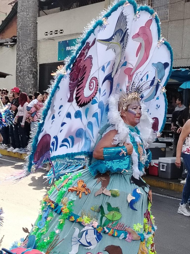 Las fantasías que le dan brillo al Carnaval de Los Teques