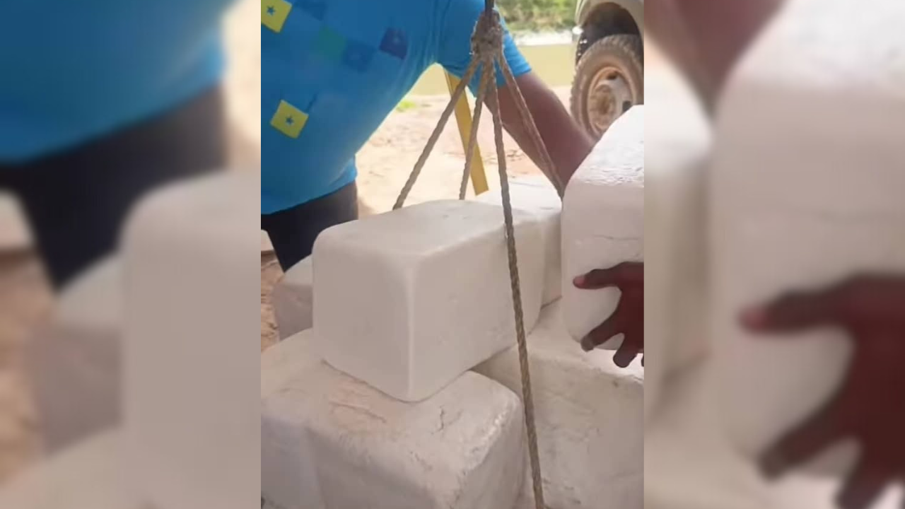 Inicio del verano incidirá en precio del queso duro