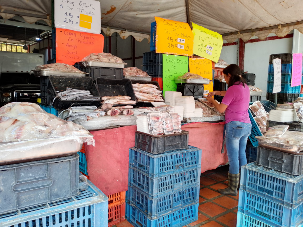 Vendedores de pescado esperan aumentar sus ventas