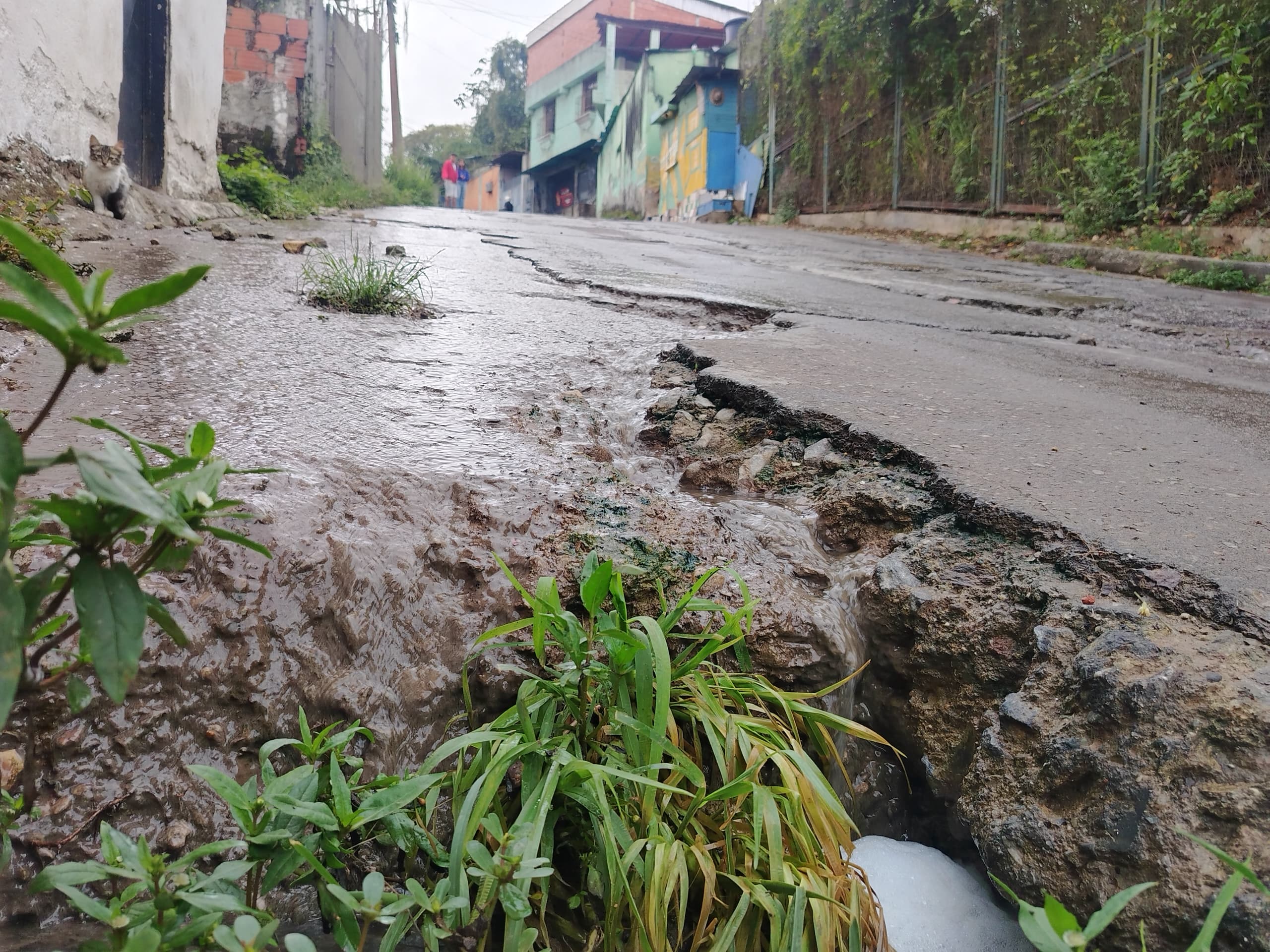 Aguas servidas corren nuevamente por La Línea