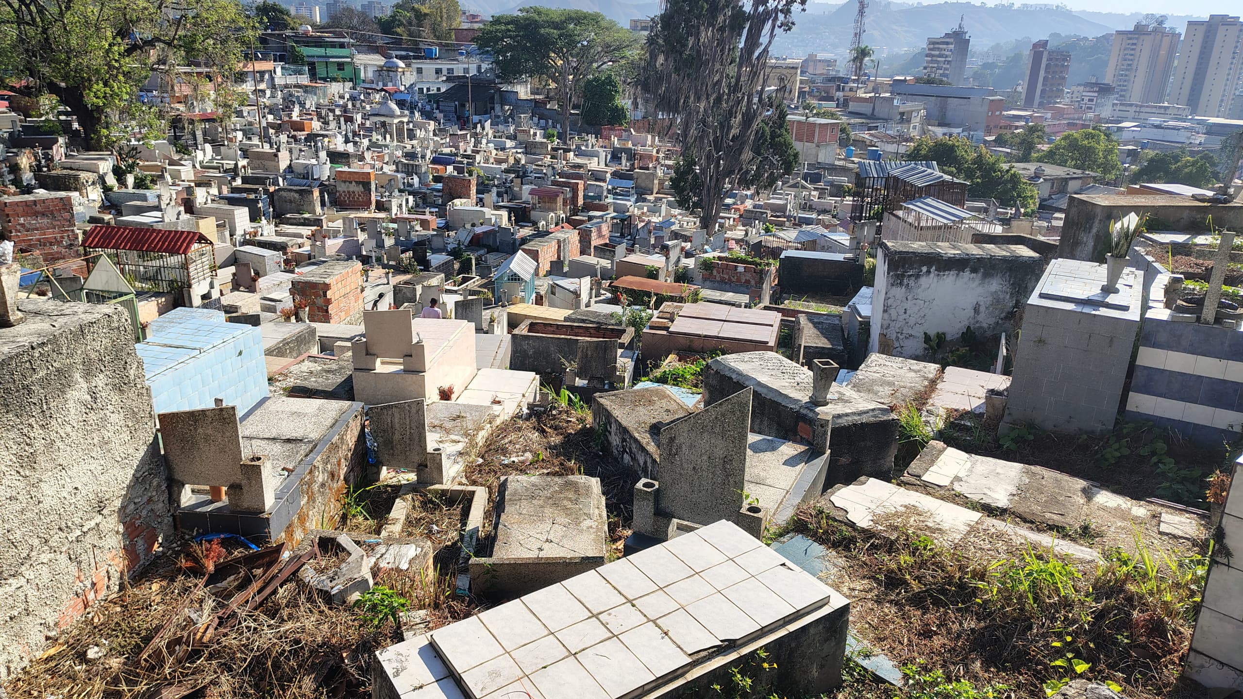Van 3.188 parcelas registradas en el cementerio