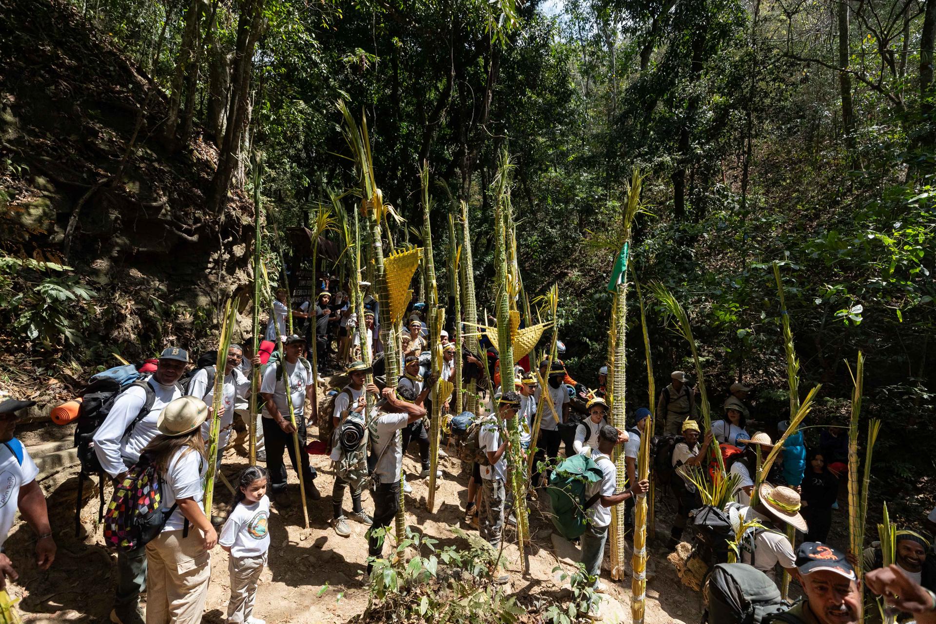Los Palmeros de Chacao descendieron del Waraira Repano
