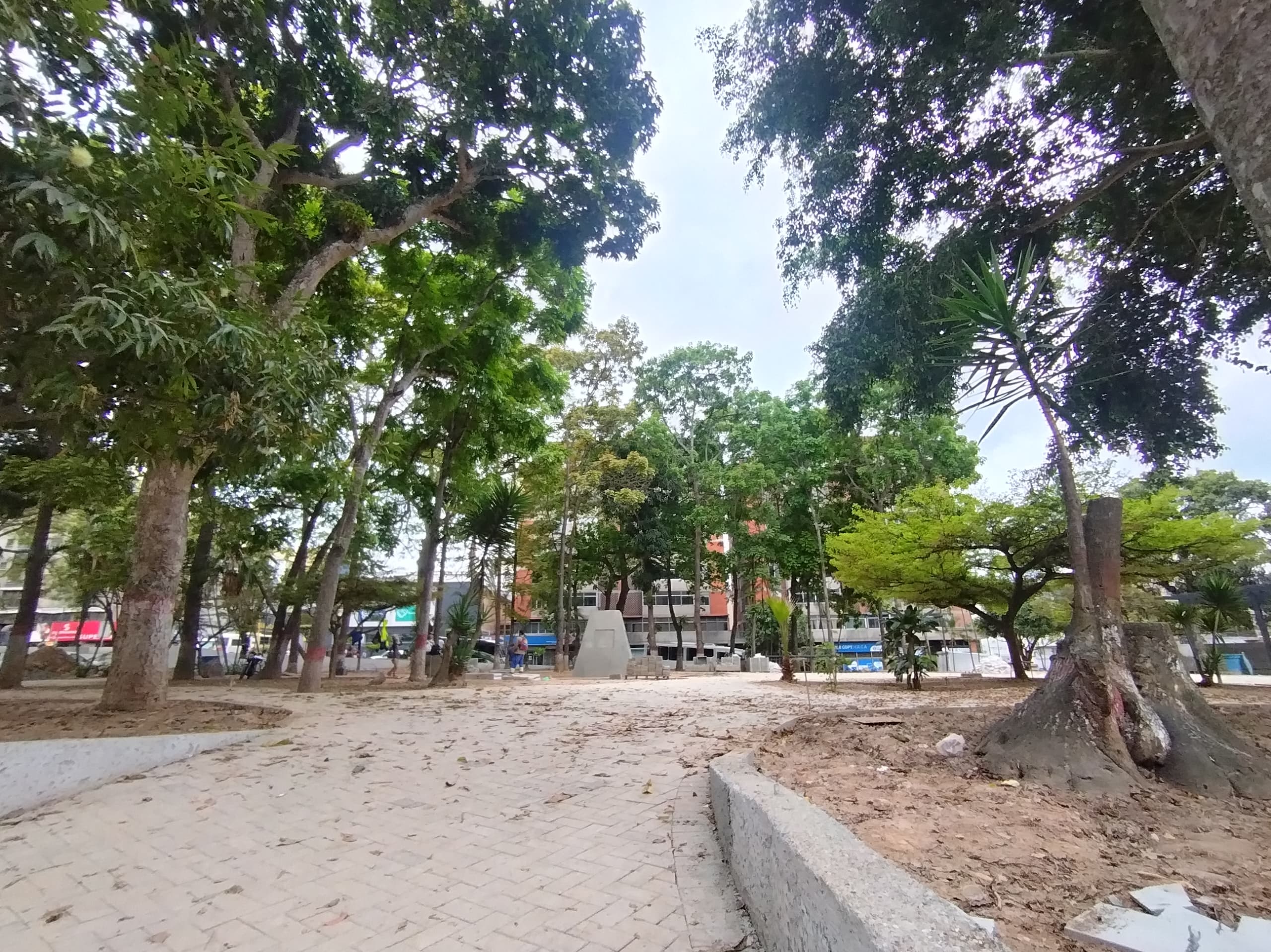 Aclaran dudas sobre la flora y fauna de la plaza Guaicaipuro