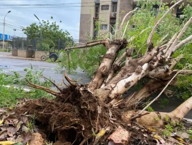 44 litros de lluvia por metro cuadrado azotaron a Maracaibo