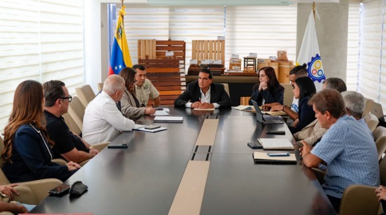 Elaboran plan para dinamizar industria maderera de Venezuela