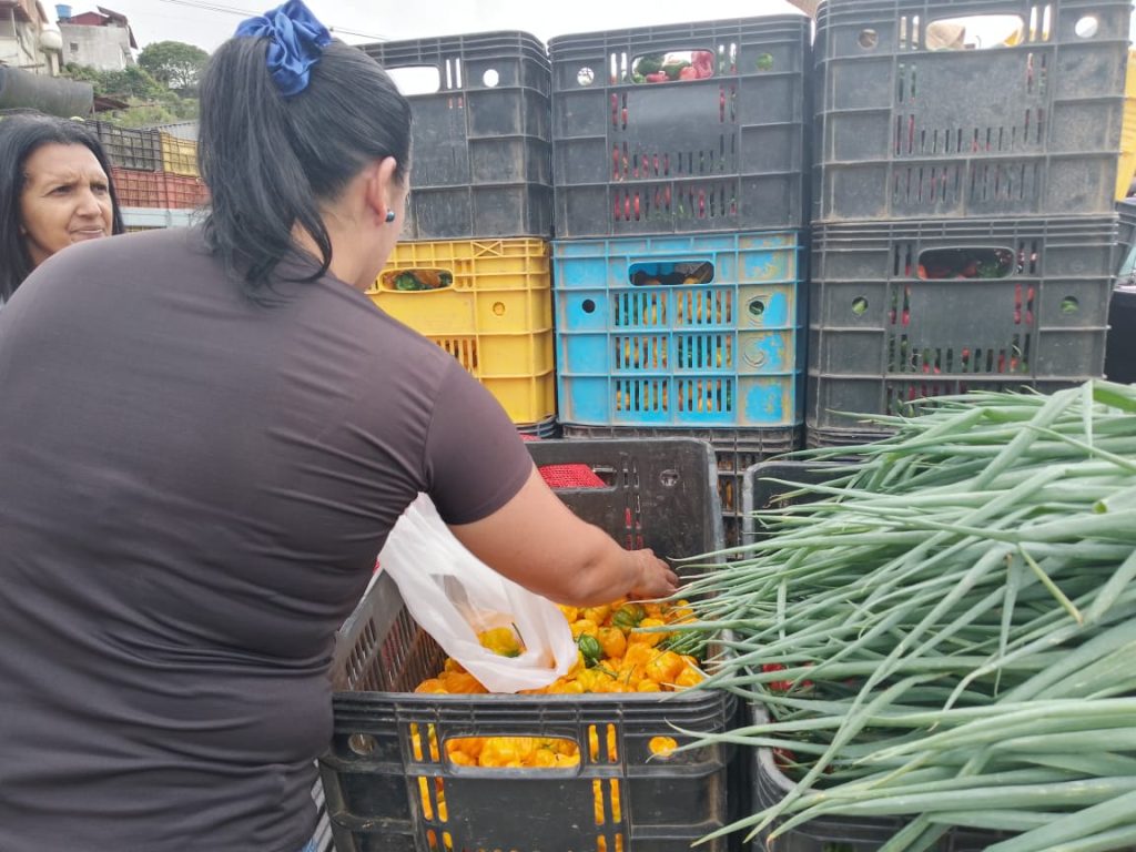 Productores afectados por baja demanda