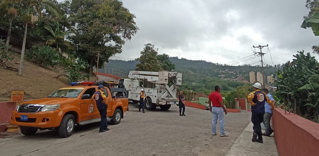 Cae árbol sobre tendido eléctrico