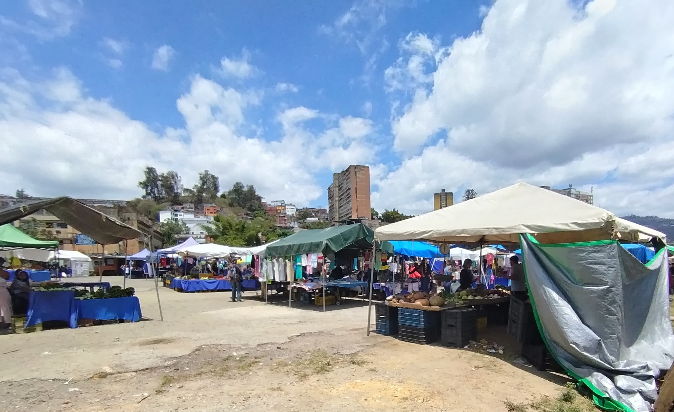 Mercadito de la Miranda trabajará con normalidad el 25-M