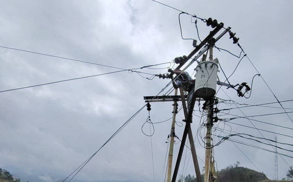 Restituyen servicio eléctrico tras caída de árbol en Los Salias