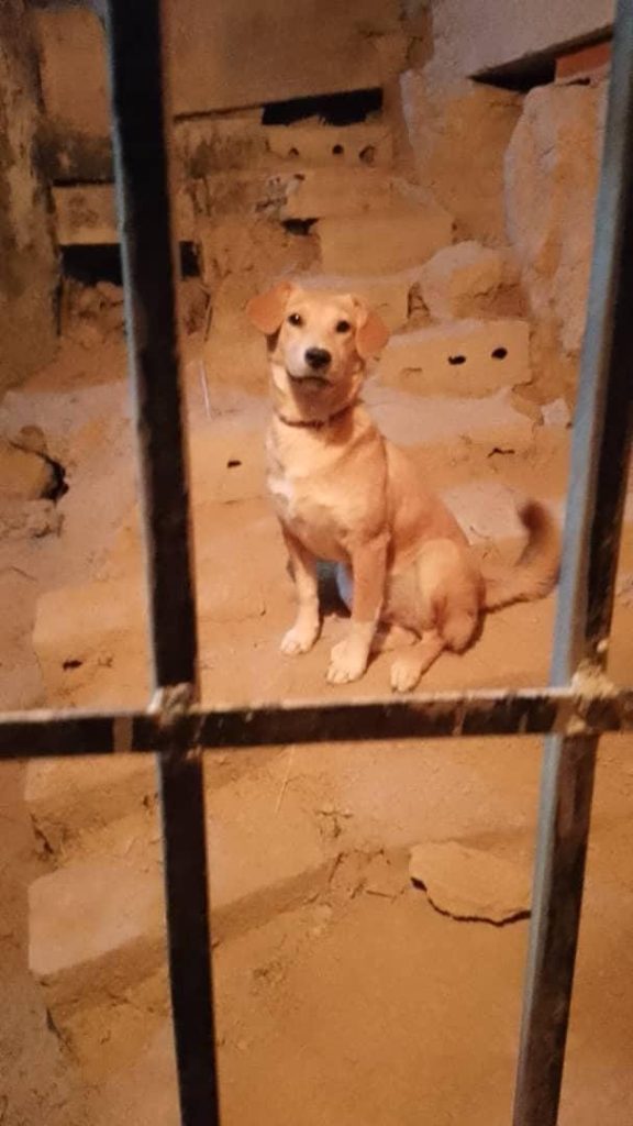 Buscan a Maya en La Matica