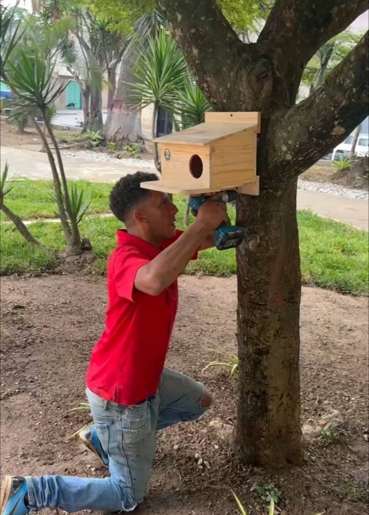Donan casas para las ardillas de la plaza Guaicaipuro