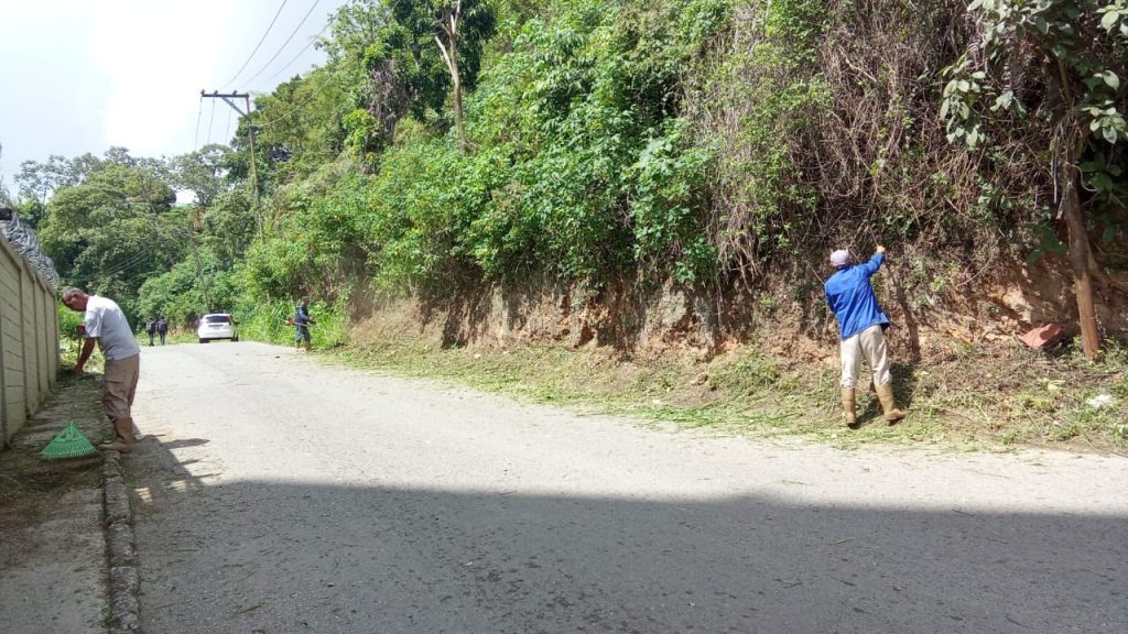 Despejaron el monte en vialidad de El Trigo