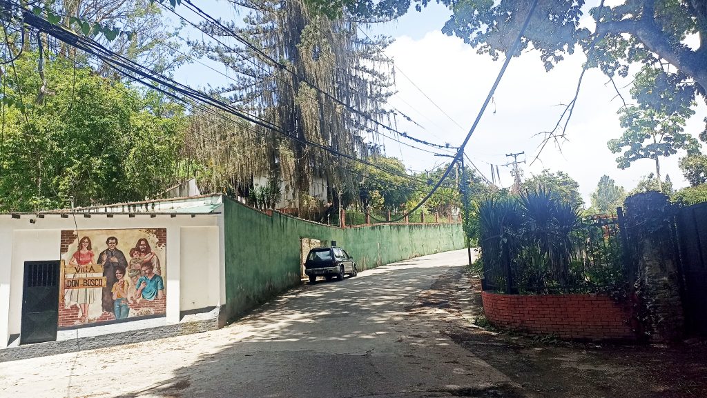 Caída de ramas afectó servicio de Cantv