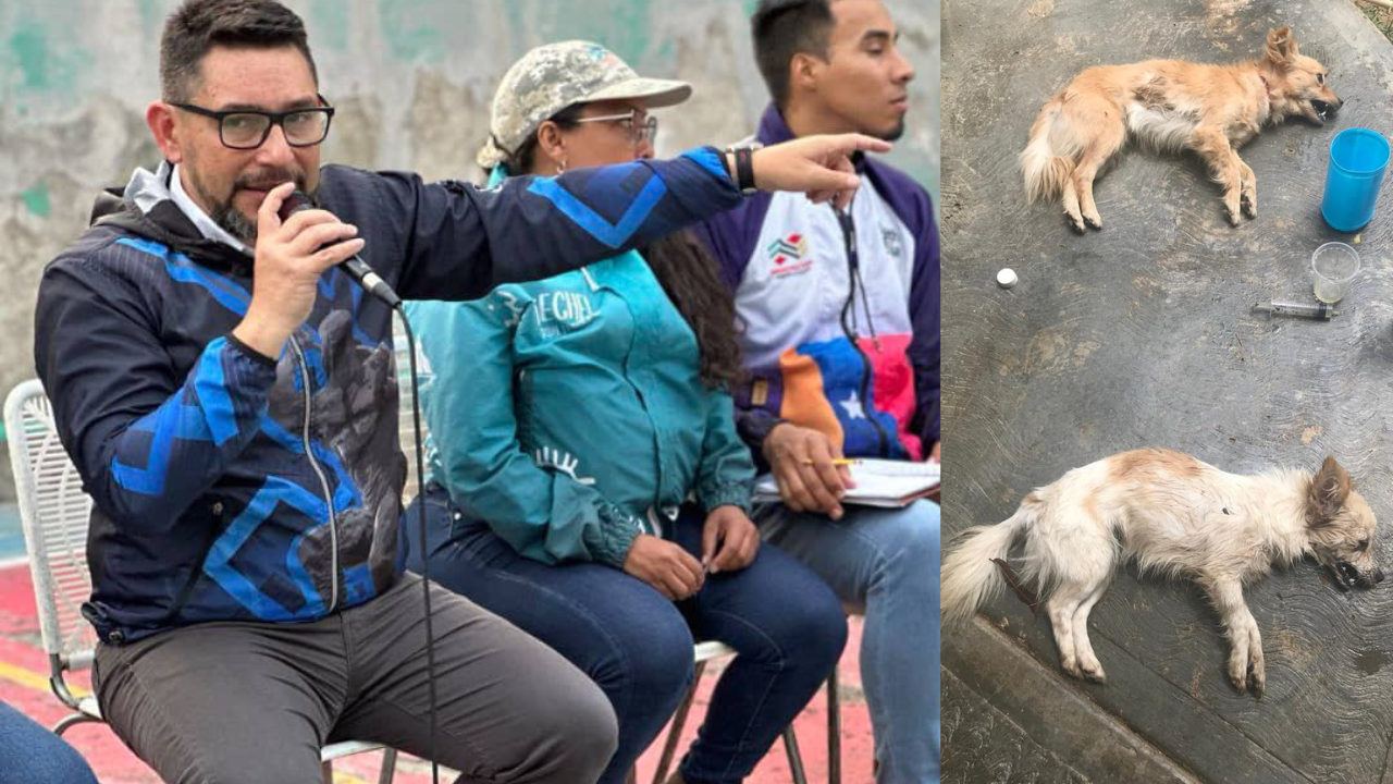 “Envenenar a un animal es un asesinato”