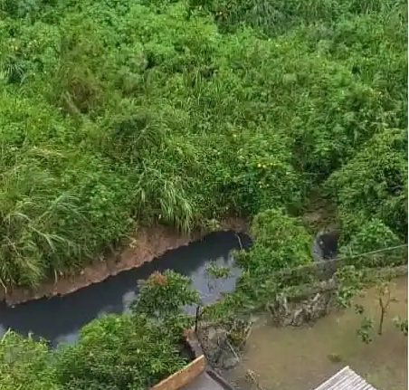 Alertan sobre delito ambiental en San Antonio de los Altos