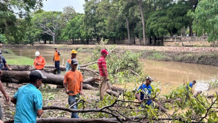 Árboles caídos y viviendas anegadas en Sucre