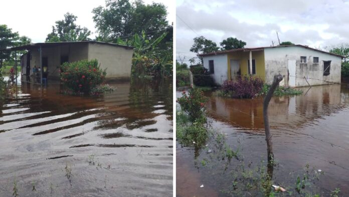 20 familias afectadas por crecida del río San Antonio