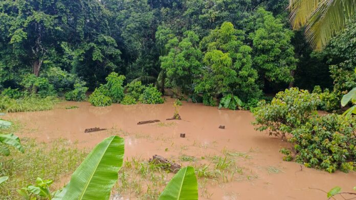 Viviendas y cultivos afectados por crecida de río