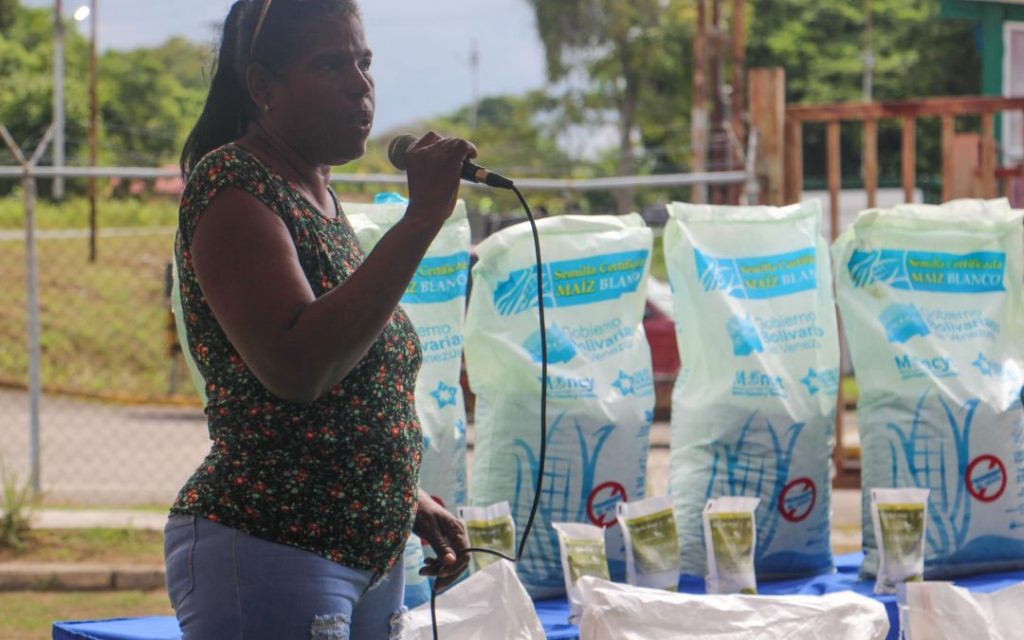 150 productores mirandinos reciben semillas de maíz