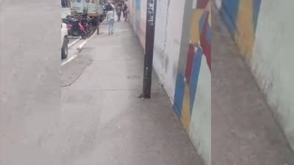 Alcaldía retira cables caídos en la Bermúdez