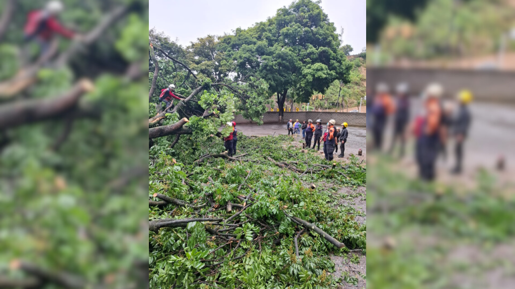 Lluvias de últimas horas causan afectaciones