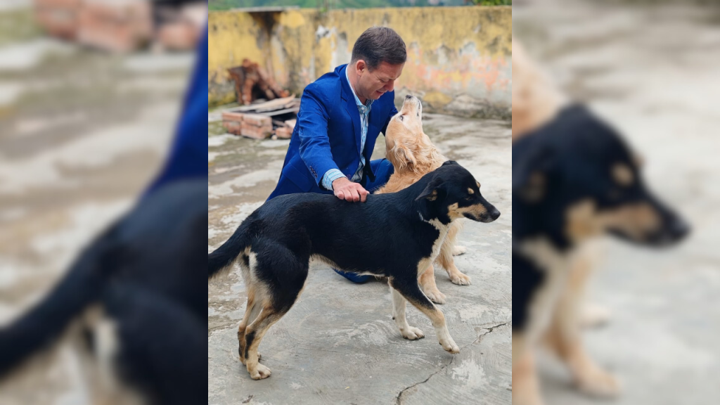 Patti expresa su preocupación por envenenamiento de animales