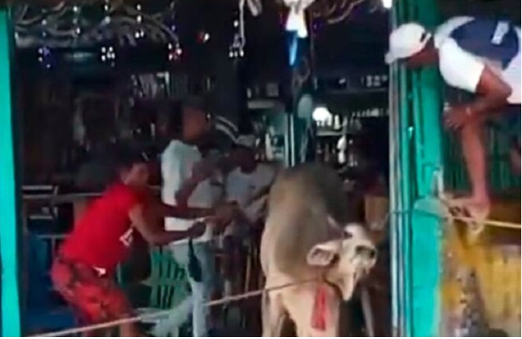 Fallece mujer corneada por un toro
