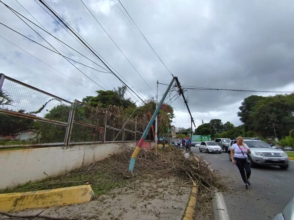 Árbol cayó sobre poste en El Tambor