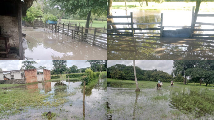 80% de vías rurales en Barinas afectadas por lluvias