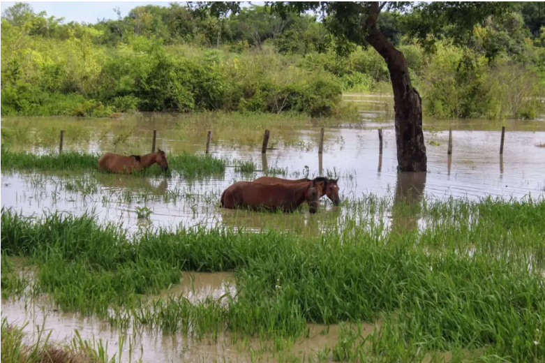 Comunidades de Barinas bajo el agua 