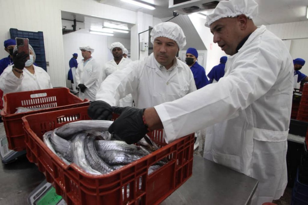 24 toneladas de tajalí mirandino van a China