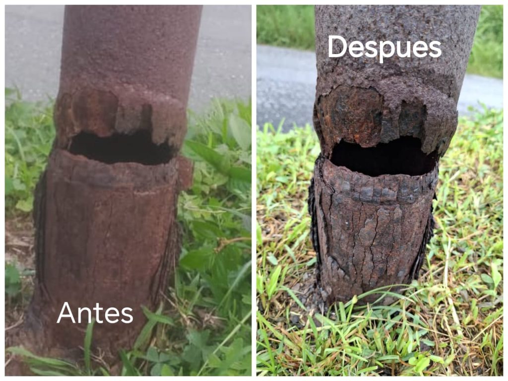Alertan colapso de poste en el Solar de la Quinta