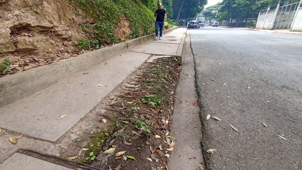 Cabillas expuestas en brocal en Los Nuevos Teques