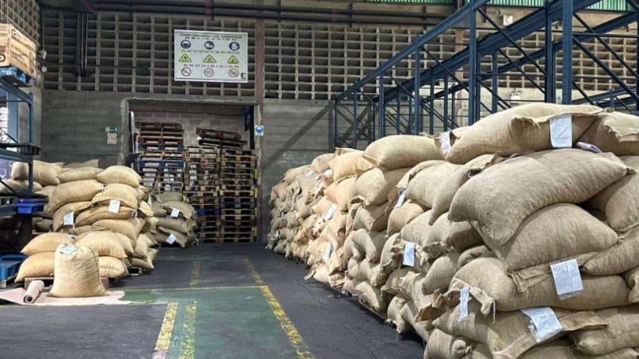 Venezuela exporta  50 toneladas de cacao en grano a Rusia